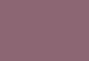 N° S6010-R10B Plum